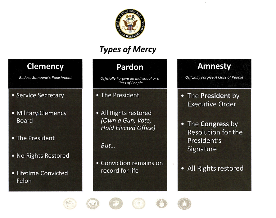 types of amnesty